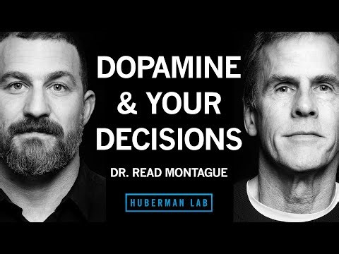 How Dopamine & Serotonin Shape Decisions, Motivation & Learning | Dr. Read Montague