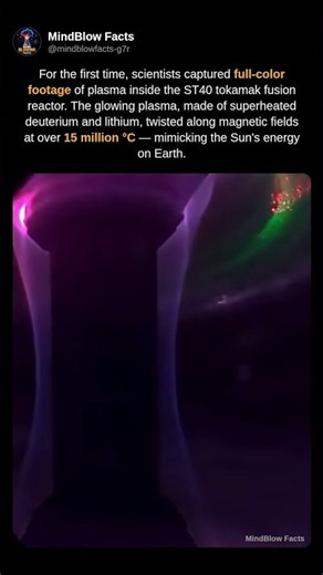 Scientists Film Plasma Inside Fusion Reactor in Full Color