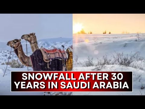 Snow In The Dessert Kingdom: Saudi Arabia's Desert Turns White With Rare Winter Snowfall
