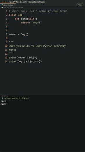 Where Does "self" ACTUALLY Come From in Python?! 🐕 #python #coding #programming #developer