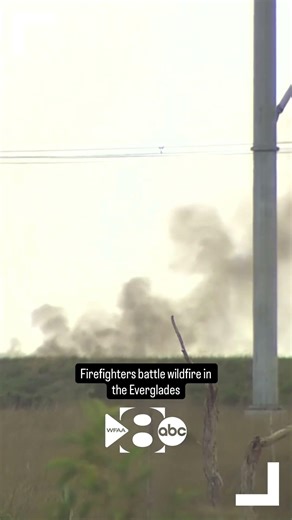 Firefighters battle wildfire in the Everglades, officials say
