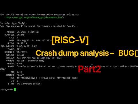 [RISC-V] Kernel Crash dump analysis - BUG() - Part2
