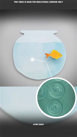 Deadliest Fish Parasite Ever #facts #science #shorts