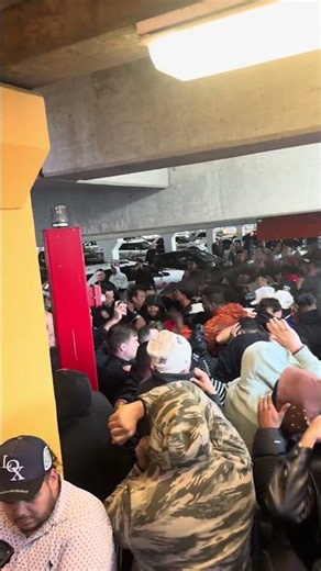 Chaos as Police Pepper Spray Unruly Watch Crowd at Long Island Mall || ViralHog