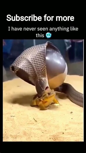 wierd day 17 #shortsfeed #viral