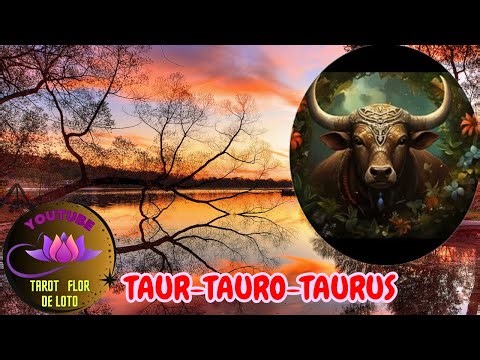 TAURUS♉ OCTOBER 6-12, 2025🔮BE DECIDED THE RESULTS WILL COME🍁🌟