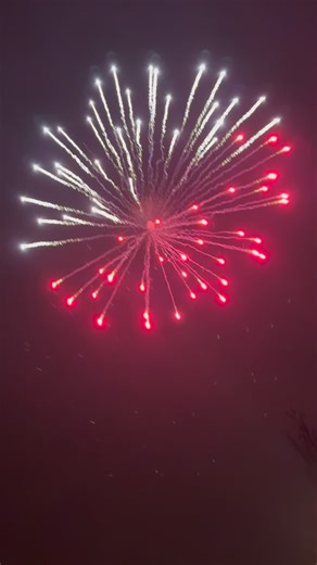 W.B on Instagram: "Triplex 3” inch “FEYENOORD” shell 🚀 #vuurwerk #fireworks #feuerwerk #pyro #pyrotechnics"