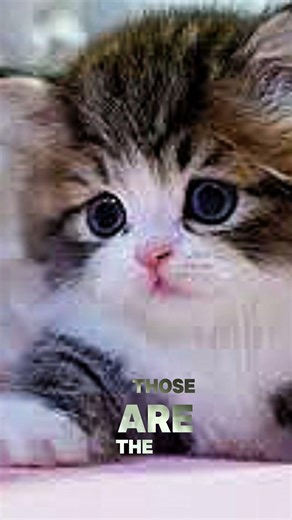 Emotional Healing #985: Why some doors MUST stay closed. 🚪❤️ #Healing #mindsetmatters #mindfulness