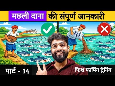 Ep14 मछली दाना खिलाने का सही तरीका ? Fish Farming Business in India