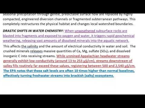 Human Impact Paper Example