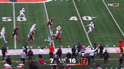 Cardinals vs. Bengals highlights Week 17