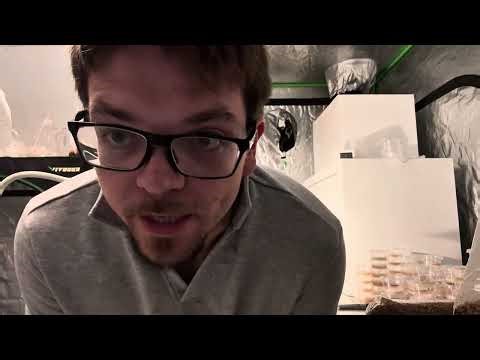 Giveway and inoculation no breathing 