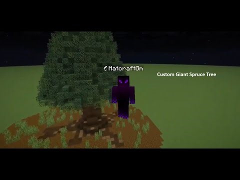 Custom giant spruce tree full video