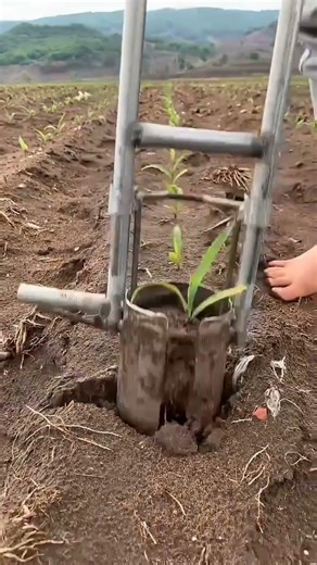 Revolutionizing Agriculture: The Future of Modern Farming #agriculture #modernfarming