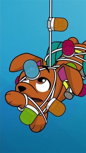 A holiday disaster like no other… 🙃🐈 LEGO Friends: Pet Pals 🐾 #Shorts