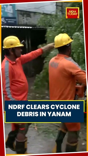 Cyclone Arnab Latest Video: NDRF Clears Uprooted Trees And Electricity Poles In Yanam #shorts #viral
