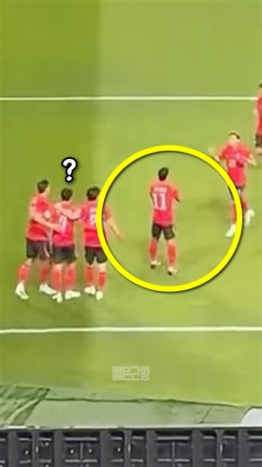 손흥민 득점에 쳐다도 안보는 황희찬