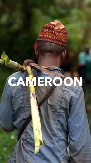 First Time in Africa 🇨🇲, Cameroon