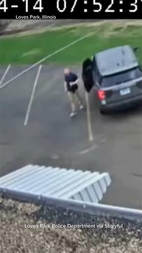 Kung-Fu Goose on the Loose