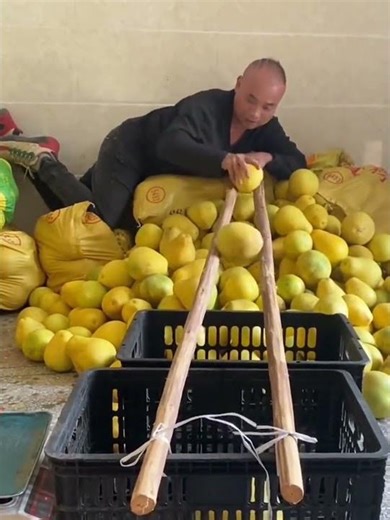 Sorting process of fruit using practical methods