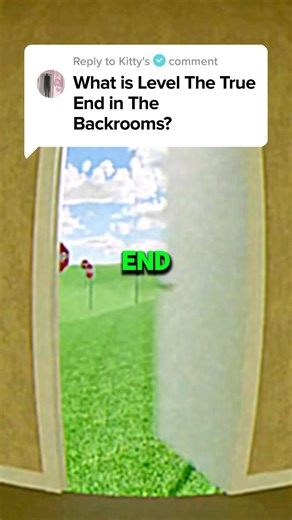 ⚠️BACKROOMS LEVEL THE TRUE END - FOUND FOOTAGE⚠️ #backrooms #shorts