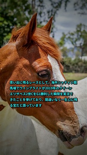 10月1日 競馬中継で大活躍の43歳アナが突然の退社…「すごくショック」の声多数 「ラジオNIKKEI」大関隼アナ退社、今後についても言及【競馬ニュース】#Shorts