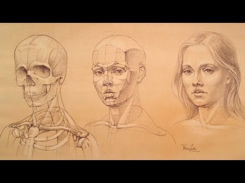 Tutorial: How to Draw Realistic Faces using anatomy and proportions