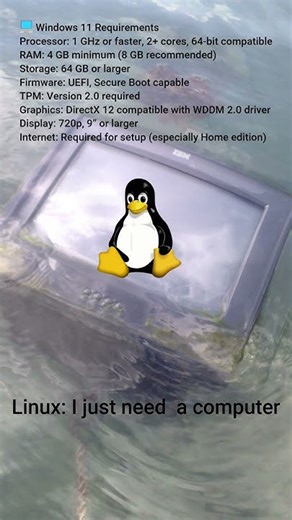 Windows vs Linux