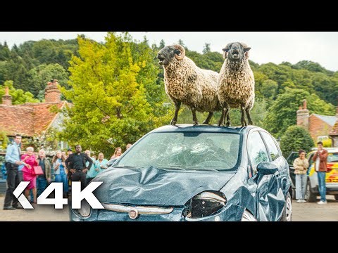 THE SHEEP DETECTIVES All Clips & Trailer (2026) Hugh Jackman