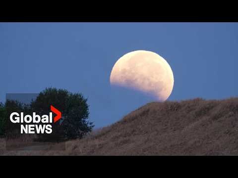 Near-total lunar eclipse lights up skies across Americas, Europe and Africa