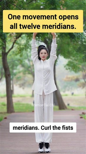 One simple movement activates all twelve meridians—has your family tried this exercise yet? #arms #meridian #goodhealth #helpfultips #healthandwellness #hunchback #stretching | Warrior Tai Chi