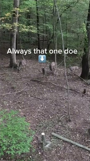 Hunting Fail! 🦌