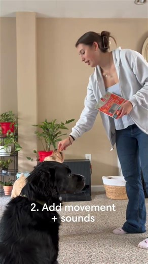 Introducing a Roomba® robot to your furry friends ✨