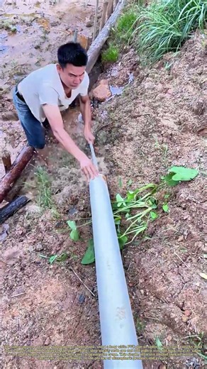 Siphoning the Flow: How a Farmer Uses Gravity and a Hose to Irrigate