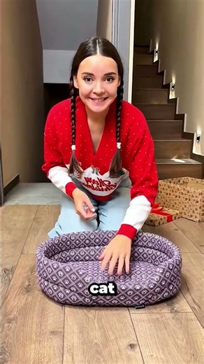 Expensive Cat Bed Vs Old Bed—Guess Who Won #catsoftiktok #pethumor