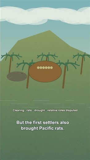 Did Easter Island's People Cut Down Every Tree?