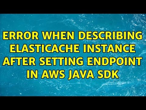 Error when describing elasticache instance after setting endpoint in aws java sdk