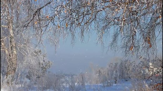 Прогулка по городу .Остров Конный 23 февраля 2023