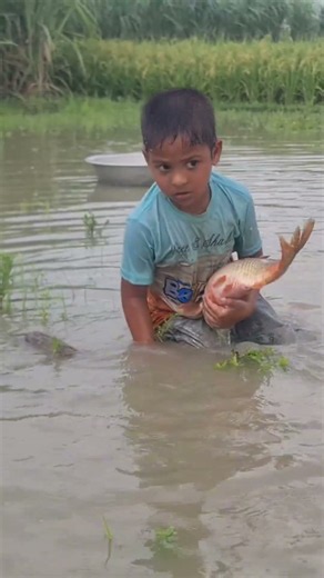 Amazing Hand Fishing Video #Fish