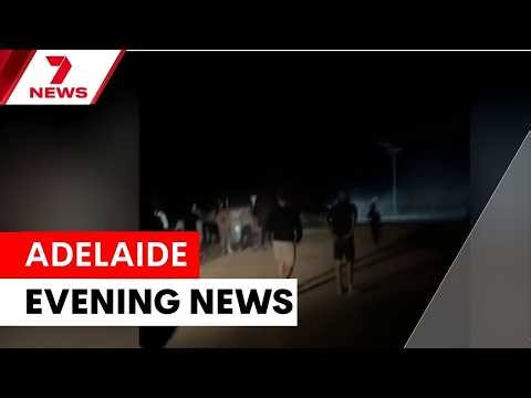 Carjacking gone wrong, driver attacked by group of hooners, drive by shooting | 7NEWS Adelaide