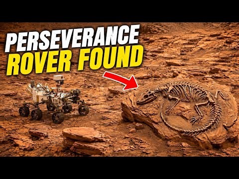 Perseverance Rover Recently Spotted Mars Stunning Footage of Mars Surface | Mars New Footage