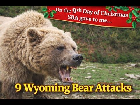 Scary Bear Attacks: The Most Notorious Bear Attacks in Wyoming