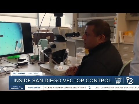 Look inside San Diego County's Vector Control