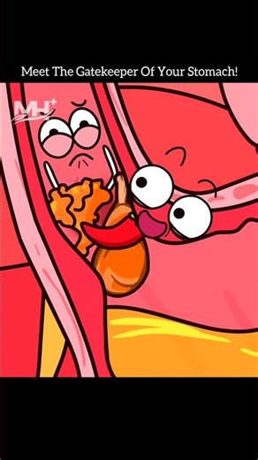 What Happens When Your Body’s Gatekeeper Stops Working? 🛑😱 #shorts