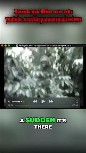 Yeti Sighting? REAL Evidence or HOAX? #shorts