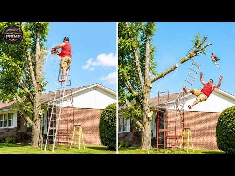 Idiots With Chainsaws: Tree Cutting Fails | Extreme Dangerous Logging Truck Fails #53