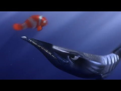FINDING NEMO - BARRACUDA ATTACK! | MARLIN FAILED TO SAVE HIS FAMILY | SPONSORED BY KLASKY EFFECTS