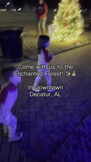 Decatur Downtown Redevelopment on Instagram: "We ❤️ Enchanted Forest! Located in front of the Old State Bank downtown. Thanks @devanrigoni for the 🎥🎞️ #MerryMile"