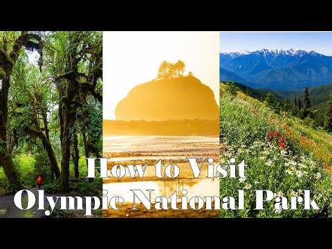 Olympic National Park Travel Guide | Best Things to Do, Where to Stay & Insider Tips