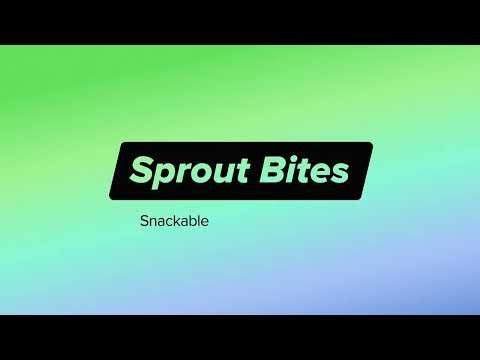 How To Track Social Media Traffic and ROI in Google Analytics | Sprout Bites